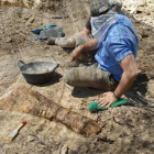 Hueso de titanosaurio encontrado durante la excavación del yacimiento de Les Gavarres.