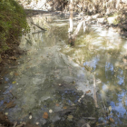 La sequera converteix la riera de Llanera en un desaigüe d'aigües fecals