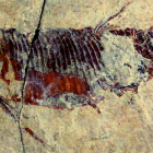 Restos fósiles de un pez recuperado en el yacimiento de Odèn.