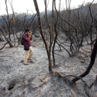 El incendio de Sierra Bermeja sigue sin control y ya quema 3.600 ha