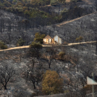 El foc ho ha arrasat tot al seu pas, com mostra aquesta imatge captada a Estepona.