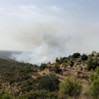 L'incendi de la Pobla de Massaluca afecta l'espai protegit de Riba-Roja