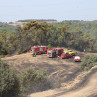 Bomberos en el incendio de vegetación que se originó ayer de madrugada en Vilaplana, núcleo de la Baronia de Rialb. 
