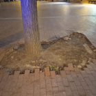 Estado del pavimento de la plaza de Sant Pere de Alfarràs.