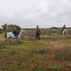 Mig centenar de participants en el segon Raid Ciutat de Tàrrega