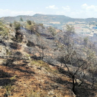Els Bombers treballen en dos incendis de vegetació agrícola a Artesa de Segre i Gratallops