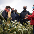 La consellera Jordà en un momento de la visita en una finca de olivo a Vinaixa.