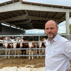 El president d’Asoprovac, Ricard Gòdia, alerta de la crítica situació del boví de carn.