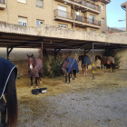 Los primeros caballos de turistas alojados esta semana en el hostal Jaumet de Torà.