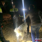 Mossos con el perro rescatado en el pantano de Sant Antoni. 