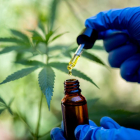 Imatge d'un investigador analitzant cànnabis per a usos terapèutics