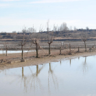 Inicien el procés d'ompliment de l'estany després de sanejar-lo