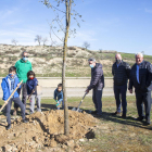 La plantada fue en la primera acequia del  Canal d’Urgell. 