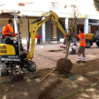 Operaris plantant un arbre a la plaça Sant Pere.