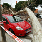 Un coche dañado por la caída de un árbol, ayer en L’Hospitalet.