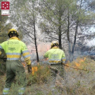 Bombers en un foc al municipi castellonenc d’Assuévar.