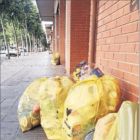 Bolsas de basura en la avenida Corregidor Escofet, en Pardinyes