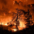 El foc arrasa 5.000 hectàrees a Grècia