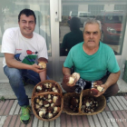 Recogen los primeros 'ceps' en el Pirineo leridano