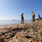 Operarios retiran peces muertos en las playas del Mar Menor.