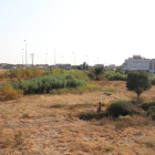 Vista de part dels terrenys on Carrefour projecta un nou centre comercial.