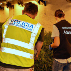 Un agente de los Mossos y uno de la Agencia Tributaria delante de una plantación de marihuana