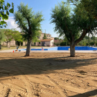 Les piscines de Tarroja, on renovaran la gespa.