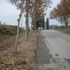 Vista del lugar del accidente mortal de Artesa de Lleida el día 20. 