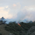 Un incendio originado Alfarràs quema 55 hectáreas agrícolas y forestales de Catalunya y Aragón