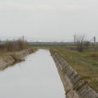 El canal de Aragón y Catalunya, por donde ayer circulaban 10 metros cúbicos por segundo, en Raimat.