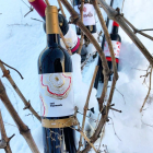 Botelles del vi Saó Expressiu 2015, guanyador dels Catavinium.