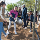 Los alumnos de la escuela Magraners plantan árboles en el patio