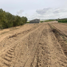 La finca de La Granja d’Escarp en la que se robaron los 280 cerezos el pasado jueves. 