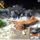 La Guardia Civil localiza el cadáver de un caballo en una nave abandonada de Lleida