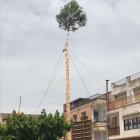 Los trabajos para la ‘plantada’ del árbol en el centro del pueblo.