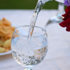 La ingesta diària d'aigua recomanada és d'uns dos litres diaris.