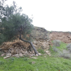 Les pedres despreses de la muralla de la Seu Vella.