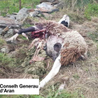 Uno de los animales muertes por Goiat el miércoles.