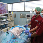 En el primer curso de cirugía laparoscópica urológica en el Creba.