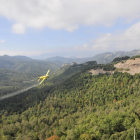 Imagen de una avioneta fumigando para combatir la procesionaria en un bosque del Alt Urgell.