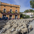El rebaño de ovejas cruzando el municipio de Senterada en el Pallars Jussà. 