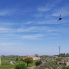 L’helicòpter va actuar en diferents trams del riu Segre.
