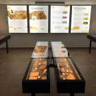 Vista de la nueva exposición de fósiles en el Centre d’Interpretació del Montsec en Vilanova de Meià.