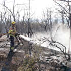 Un incendi destrueix 15 hectàrees de vegetació forestal i agrícola a Artesa de Segre