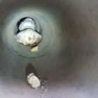 Rescaten un gos abandonat dins d’un tub de reg a prop de Torres Salses