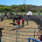 Imagen del concurso comarcal de Cavall Pirinenc que se celebró ayer en la Pobleta de Bellveí.