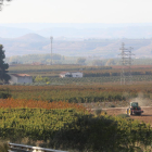 Una vista de los campos frutales con los colores que van adquiriendo durante el otoño.
