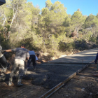 Operarios trabajando en la cimentación del vial de Tarrés. 