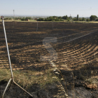 Imatge d'arxiu d'un incendi agrícola a Lleia.