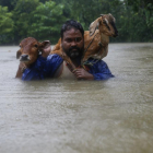 Un home rescatant els seus animals al Nepal, ahir.